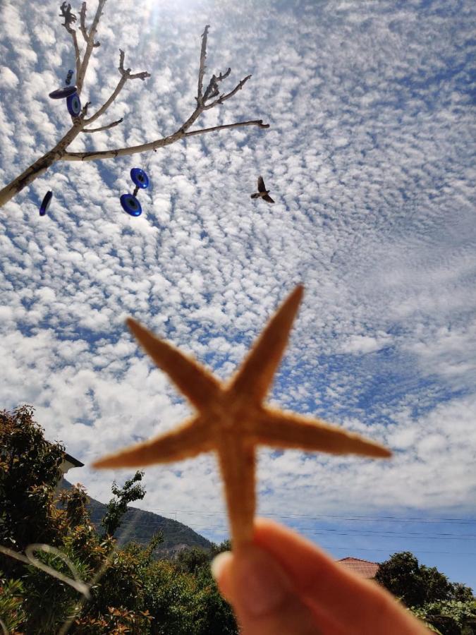 Cc'S Butik Hotel Ölüdeniz Dış mekan fotoğraf