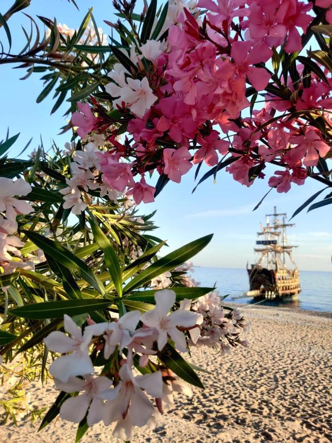 Cc'S Butik Hotel Ölüdeniz Dış mekan fotoğraf