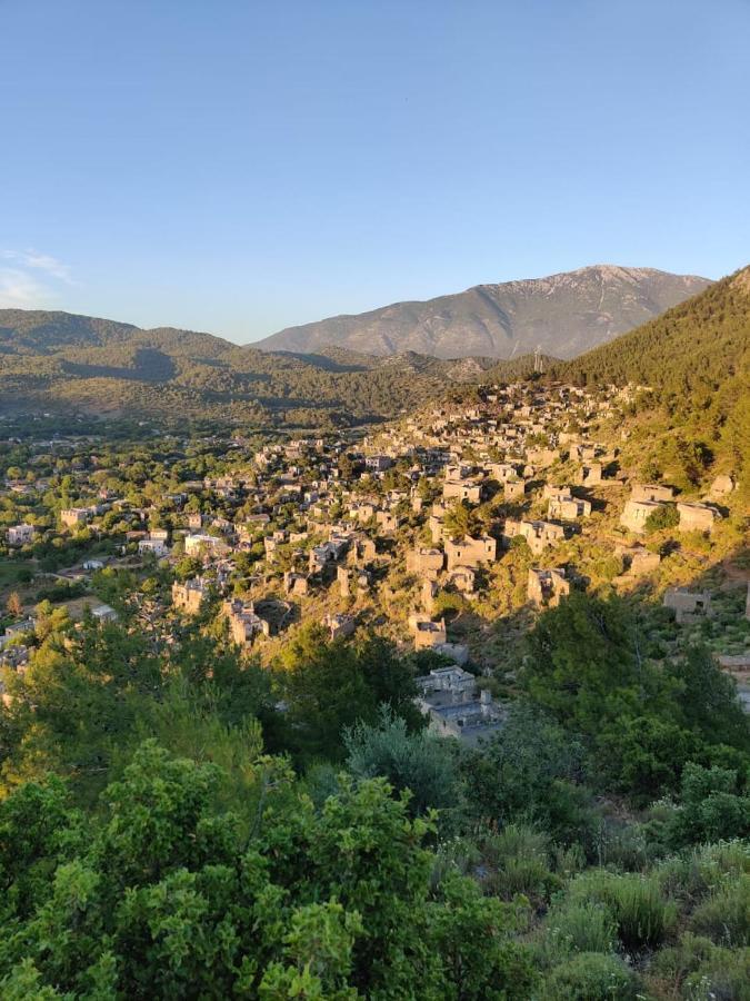 Cc'S Butik Hotel Ölüdeniz Dış mekan fotoğraf