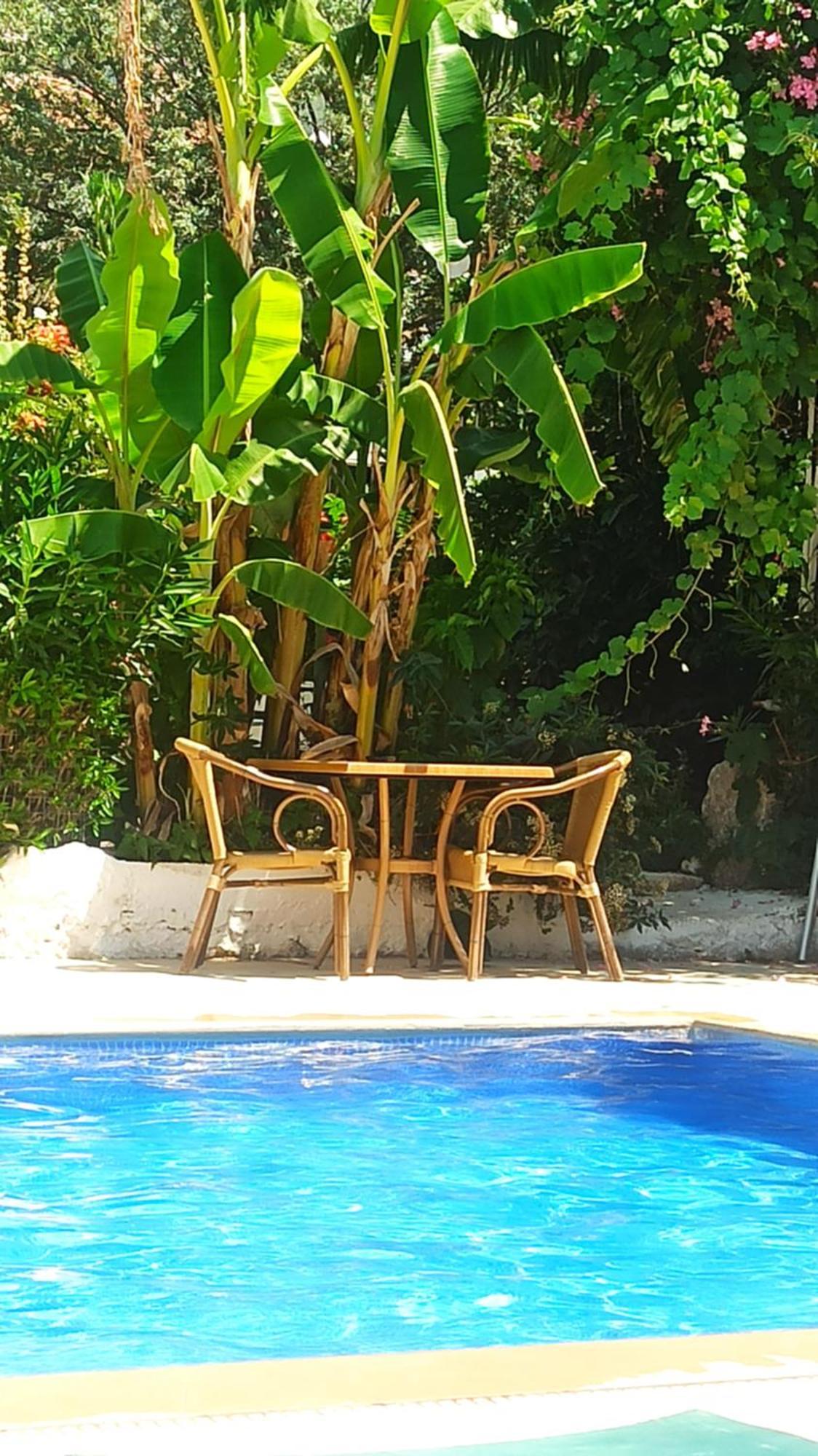 Cc'S Butik Hotel Ölüdeniz Dış mekan fotoğraf